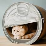 Giant Empty Can Cardboard Cat Scratcher
