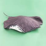Giant Freshwater Stingray Blanket