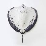 Giant Freshwater Stingray Blanket