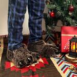 Giant Furry Bear Paw Slippers