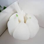 Giant Garlic Bulb Throw Pillow
