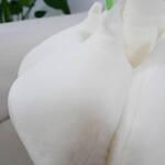 Giant Garlic Bulb Throw Pillow