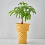 Giant Ice Cream Cone Planter