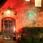 Giant Illuminated Spider Web With Animated Crawling Spider