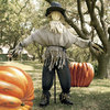 Giant Lifesized Scarecrow