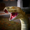 Giant Outdoor Anaconda