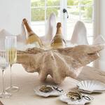 Giant Clam Shell Champagne Bucket