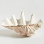 Giant Clam Shell Champagne Bucket