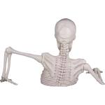 Giant Skeleton Groundbreaker Statue