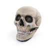 Giant Skull Chair With Movable Jaw
