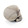Giant Skull Chair With Movable Jaw