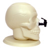 Giant Skull Drink Dispenser