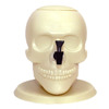 Giant Skull Drink Dispenser