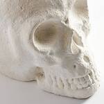 Giant Skull Halloween Party Ice Bucket