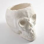 Giant Skull Halloween Party Ice Bucket