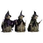 Giant Spooky Halloween Witch Rats