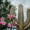 Giant Steel Saguaro Cactus Torches