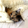 Giant Super Chunky Knit Wool Blanket