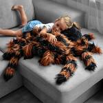 Giant Tarantula Plush