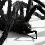 Gigantic 6 Foot Hairy Black Spider With Creepy Light-Up Eyes