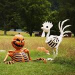 Gigantic 6-Ft Halloween Rooster Skeleton