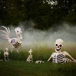 Gigantic 6-Ft Halloween Rooster Skeleton