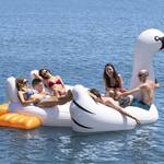 Gigantic 6 Person Inflatable Swan