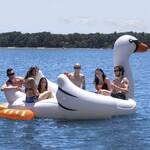 Gigantic 6 Person Inflatable Swan