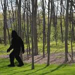 Gigantic 7 Foot Tall Bigfoot Silhouette Yard Display