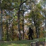 Gigantic 7 Foot Tall Bigfoot Silhouette Yard Display