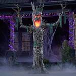 Gigantic 9-Foot Murderous Maple Tree