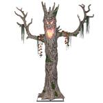 Gigantic 9-Foot Murderous Maple Tree