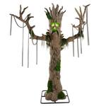 Gigantic 9-Ft Horrifying Hickory Tree