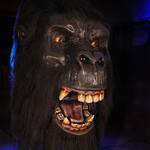Gigantic Animatronic King Gorilla Head and Arm
