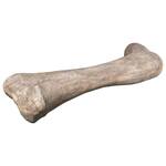 Gigantic Apatosaurus Dinosaur Femur Bone Fossil Statue