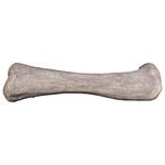 Gigantic Apatosaurus Dinosaur Femur Bone Fossil Statue