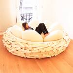 Gigantic Bird's Nest Bed