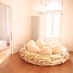 Gigantic Bird's Nest Bed