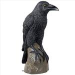 Gigantic Gothic Raven Statue