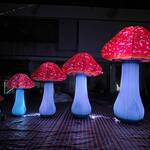 Gigantic Inflatable Mushrooms - Up to 13 Feet Tall!
