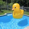 Gigantic Inflatable Rubber Ducky
