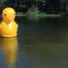 Gigantic Inflatable Rubber Ducky