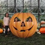 Gigantic Jack O' Lantern Pumpkin Statue / Halloween Photo Op