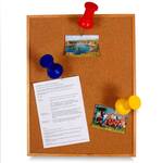 Gigantic Push Pins - 7 Inches Long!