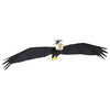 Gigantic Remote Controlled Bald Eagle
