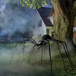 Gigantic Shrieking Yard Spider - Over 8-Ft Wide!