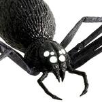 Gigantic Shrieking Yard Spider - Over 8-Ft Wide!