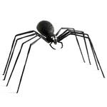 Gigantic Shrieking Yard Spider - Over 8-Ft Wide!