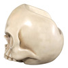 Gigantic Skull Chair / Throne