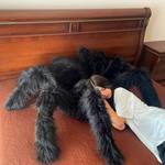 Gigantic Tarantula Spider Plush Pillow